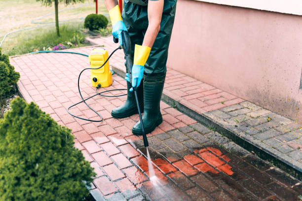 Animal Enclosure Cleaning in Fivepointville, PA